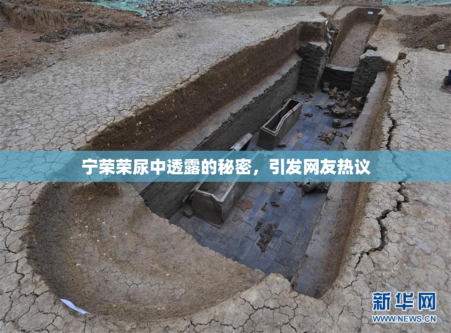 宁荣荣尿中透露的秘密，引发网友热议