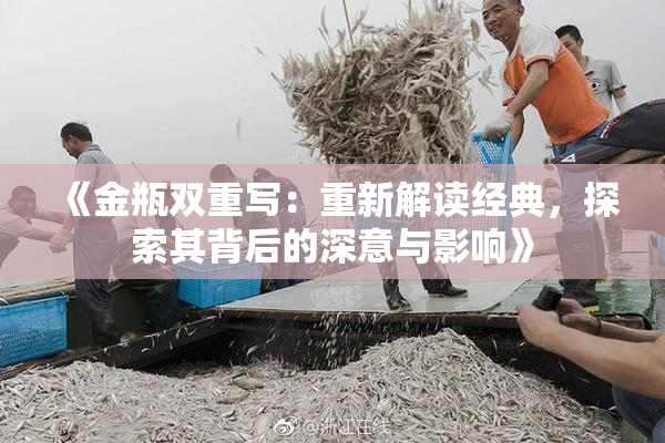 《金瓶双重写：重新解读经典，探索其背后的深意与影响》