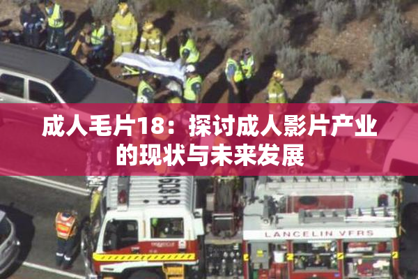 成人毛片18：探讨成人影片产业的现状与未来发展