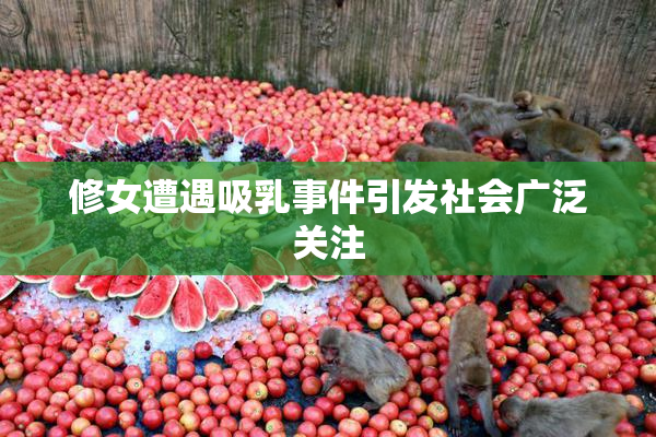 修女遭遇吸乳事件引发社会广泛关注