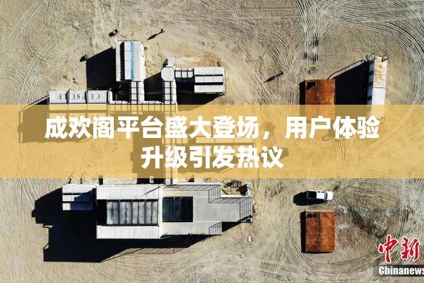 成欢阁平台盛大登场，用户体验升级引发热议