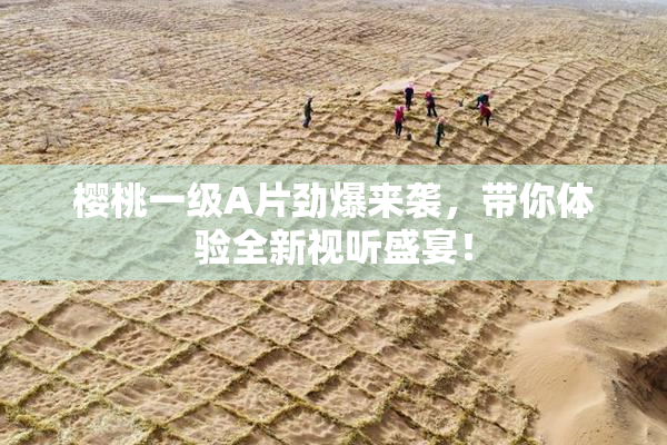 樱桃一级A片劲爆来袭，带你体验全新视听盛宴！
