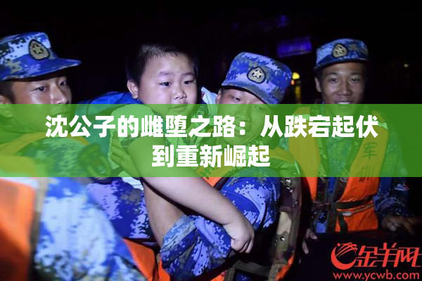 沈公子的雌堕之路：从跌宕起伏到重新崛起
