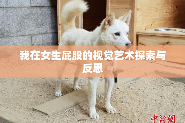 我在女生屁股的视觉艺术探索与反思