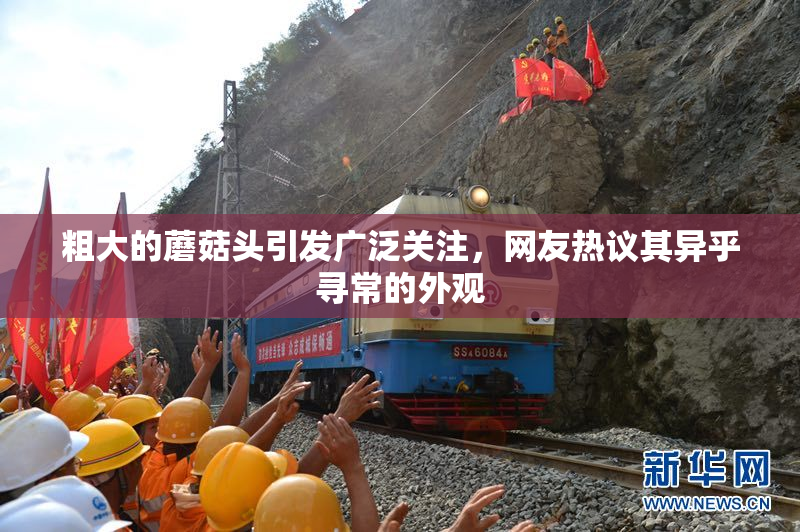 粗大的蘑菇头引发广泛关注，网友热议其异乎寻常的外观