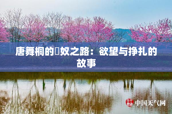 唐舞桐的婬奴之路：欲望与挣扎的故事