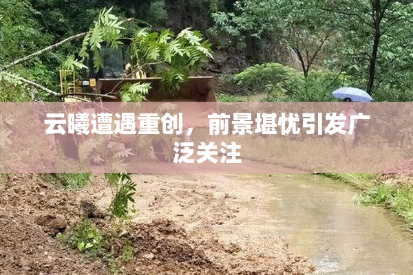 云曦遭遇重创，前景堪忧引发广泛关注