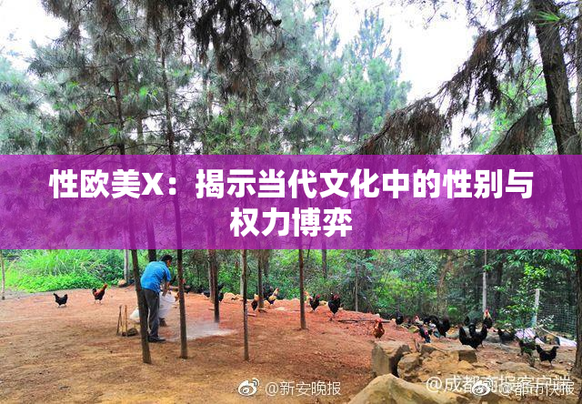 性欧美X：揭示当代文化中的性别与权力博弈