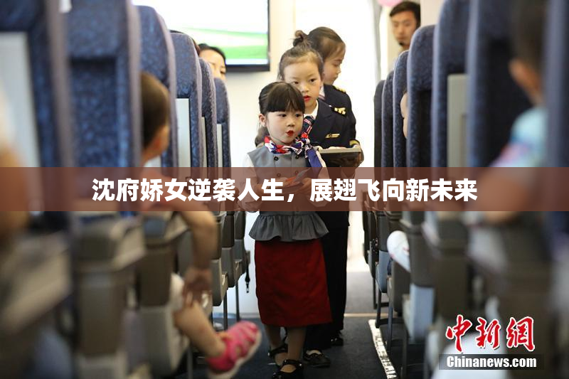 沈府娇女逆袭人生，展翅飞向新未来
