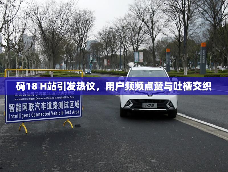 码18 H站引发热议，用户频频点赞与吐槽交织