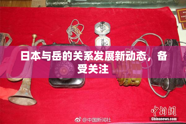 日本与岳的关系发展新动态，备受关注