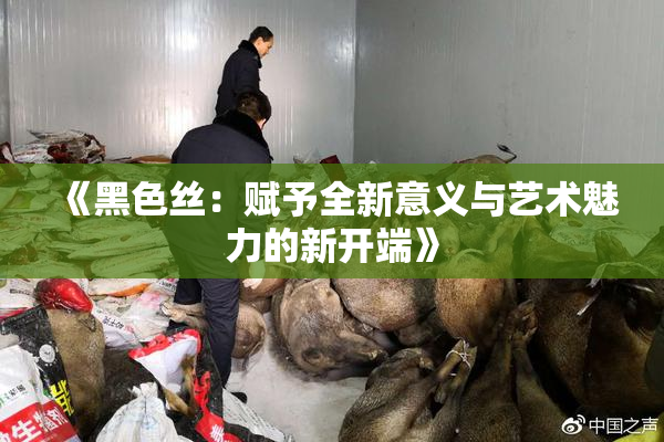 《黑色丝：赋予全新意义与艺术魅力的新开端》