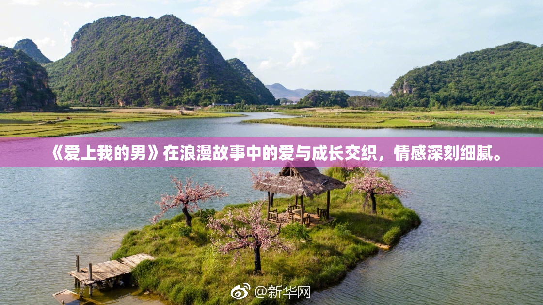 《爱上我的男》在浪漫故事中的爱与成长交织，情感深刻细腻。