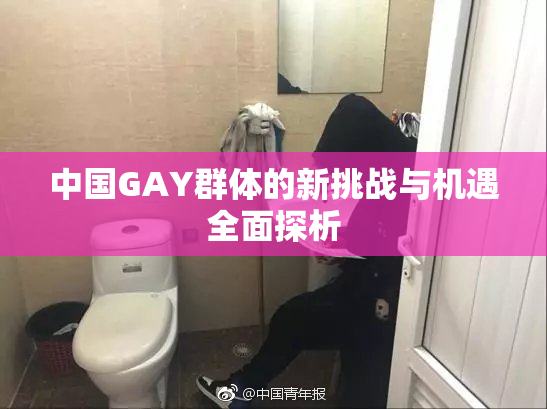 中国GAY群体的新挑战与机遇全面探析