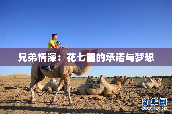 兄弟情深：花七重的承诺与梦想