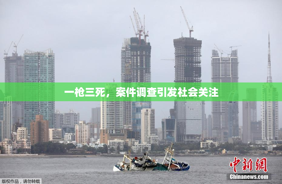 一枪三死，案件调查引发社会关注