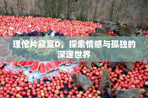 理伦片寂寞D，探索情感与孤独的深邃世界