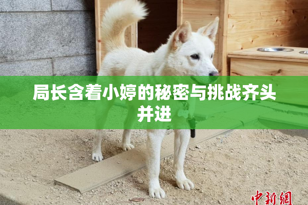局长含着小婷的秘密与挑战齐头并进