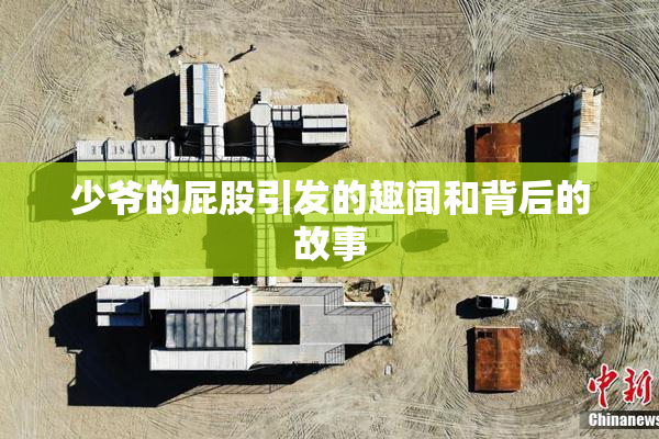 少爷的屁股引发的趣闻和背后的故事