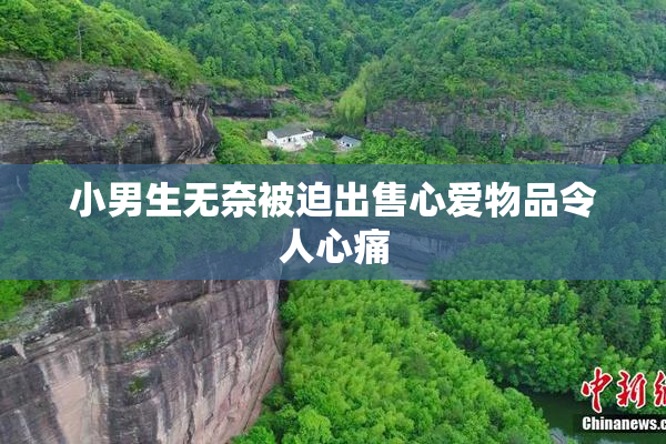 小男生无奈被迫出售心爱物品令人心痛