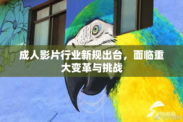 成人影片行业新规出台，面临重大变革与挑战