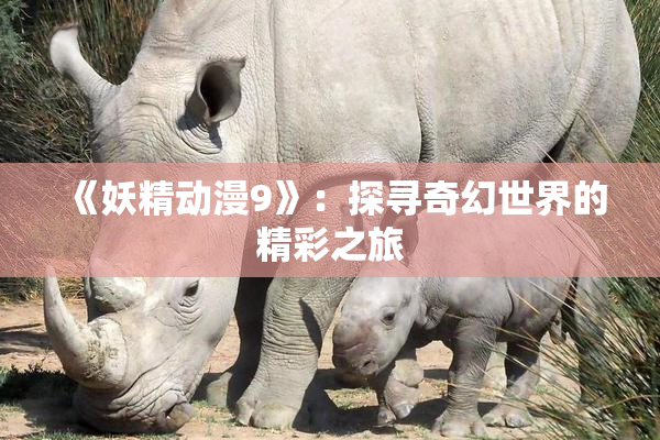 《妖精动漫9》：探寻奇幻世界的精彩之旅