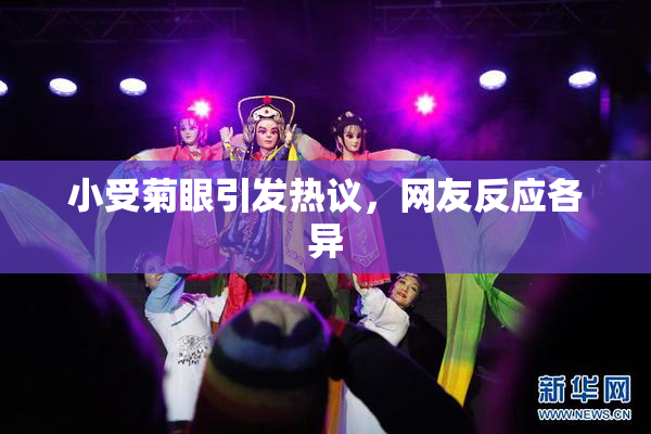 小受菊眼引发热议，网友反应各异