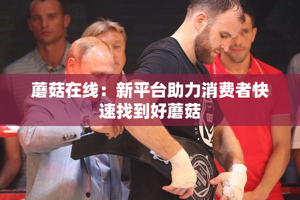 蘑菇在线：新平台助力消费者快速找到好蘑菇
