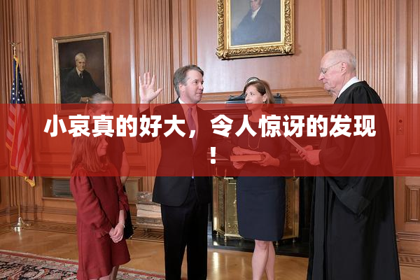 小哀真的好大，令人惊讶的发现！