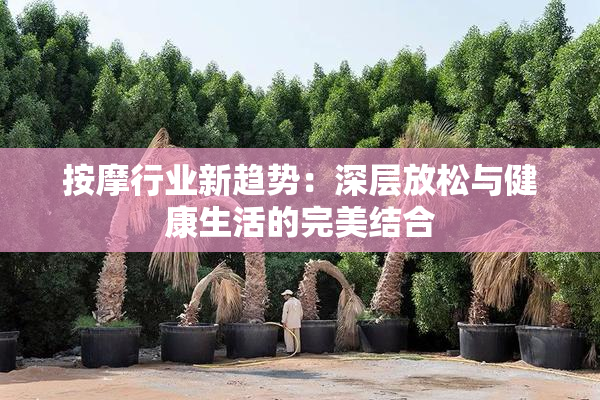 按摩行业新趋势：深层放松与健康生活的完美结合