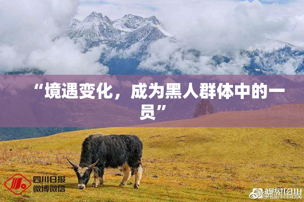 “境遇变化，成为黑人群体中的一员”
