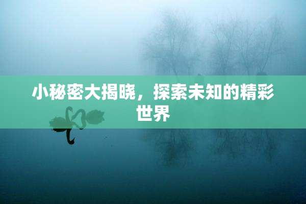 小秘密大揭晓，探索未知的精彩世界