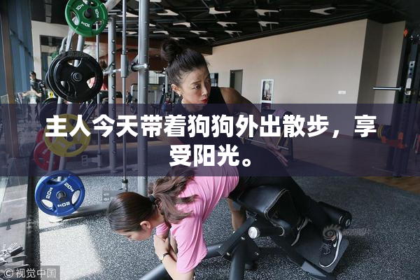 主人今天带着狗狗外出散步，享受阳光。