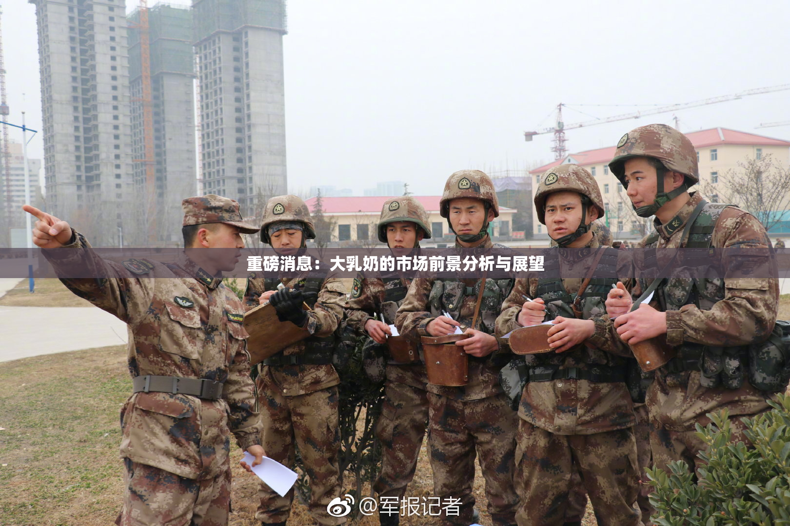重磅消息：大乳奶的市场前景分析与展望