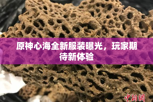 原神心海全新服装曝光，玩家期待新体验