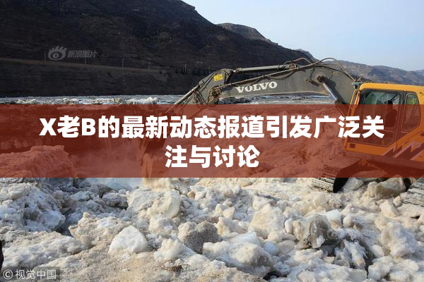X老B的最新动态报道引发广泛关注与讨论
