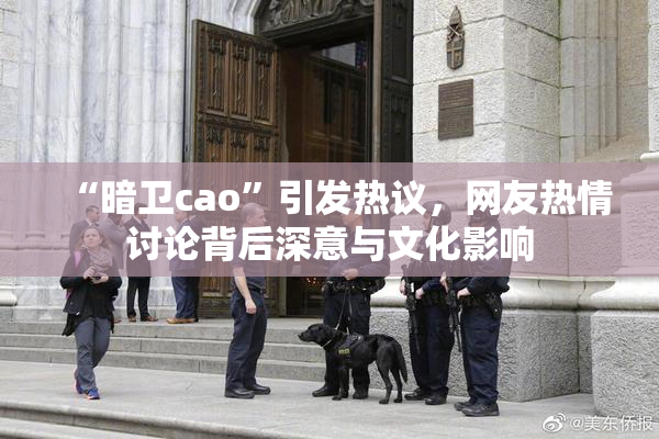 “暗卫cao”引发热议，网友热情讨论背后深意与文化影响