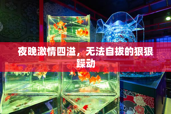 夜晚激情四溢，无法自拔的狠狠躁动