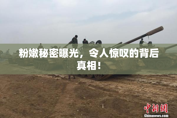 粉嫩秘密曝光，令人惊叹的背后真相！