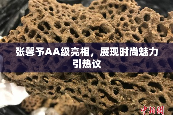 张馨予AA级亮相，展现时尚魅力引热议