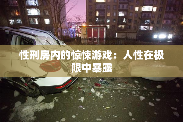 性刑房内的惊悚游戏：人性在极限中暴露
