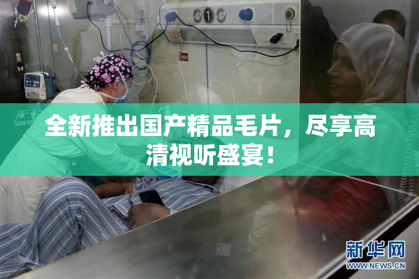 全新推出国产精品毛片，尽享高清视听盛宴！