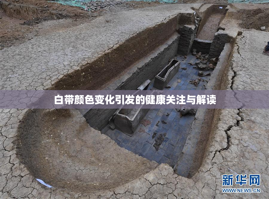 白带颜色变化引发的健康关注与解读