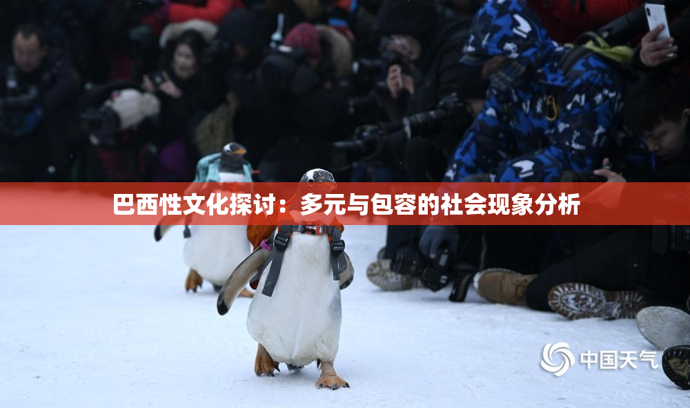 巴西性文化探讨：多元与包容的社会现象分析
