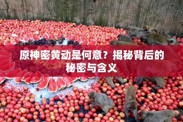 原神密黄动是何意？揭秘背后的秘密与含义