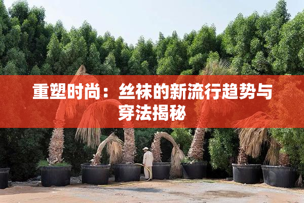 重塑时尚：丝袜的新流行趋势与穿法揭秘