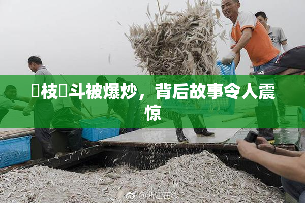 狛枝凪斗被爆炒，背后故事令人震惊