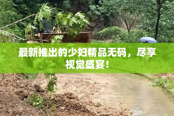 最新推出的少妇精品无码，尽享视觉盛宴！