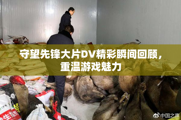 守望先锋大片DV精彩瞬间回顾，重温游戏魅力