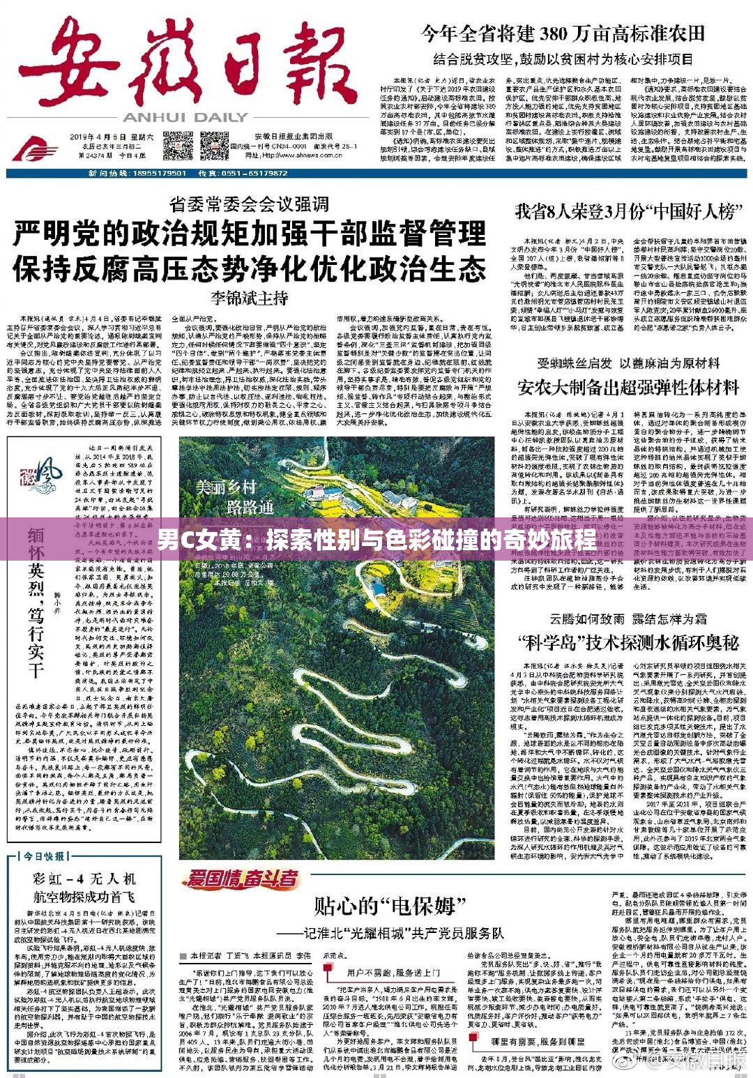 男C女黄：探索性别与色彩碰撞的奇妙旅程